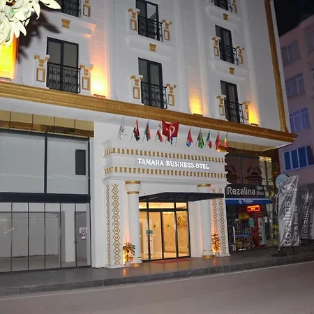 Tamara Business Hotel 4*
